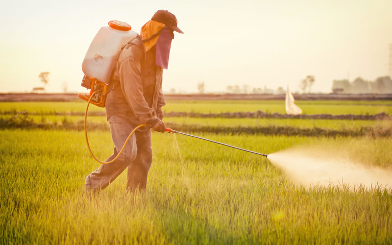 Automotive Specialty Chemicals: Environmental Impact and Proper Disposal